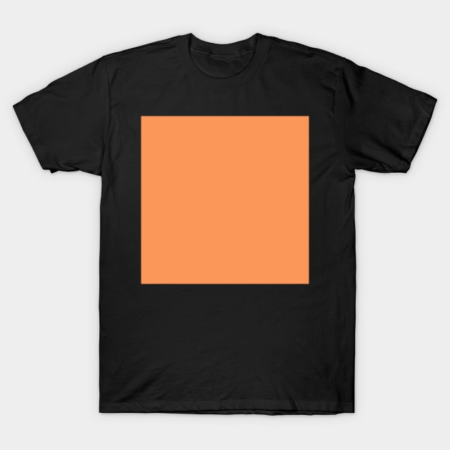 Muted Orange T-Shirt by taoistviking